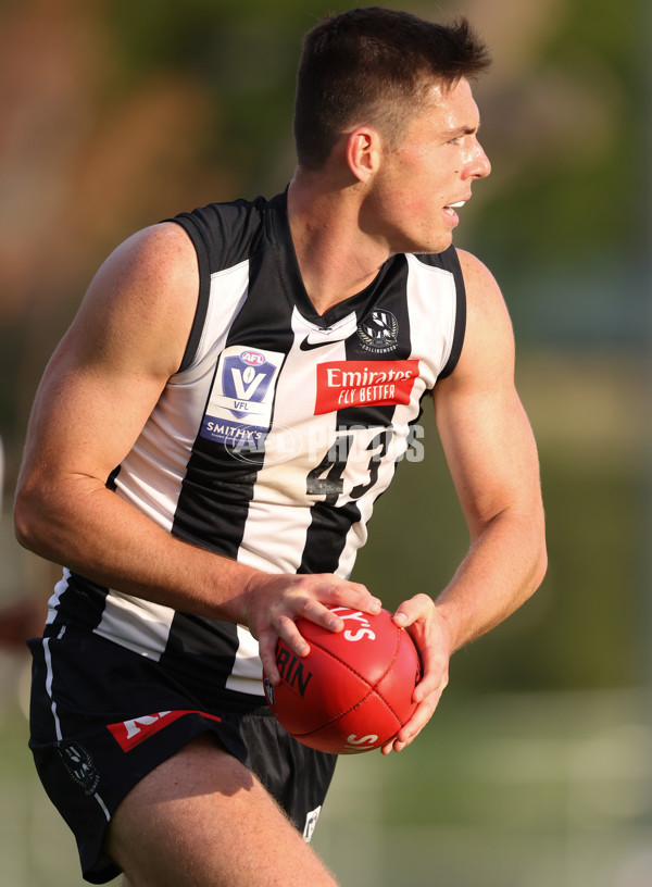 VFL 2024 Round 05  - Collingwood v Essendon - A-48236600