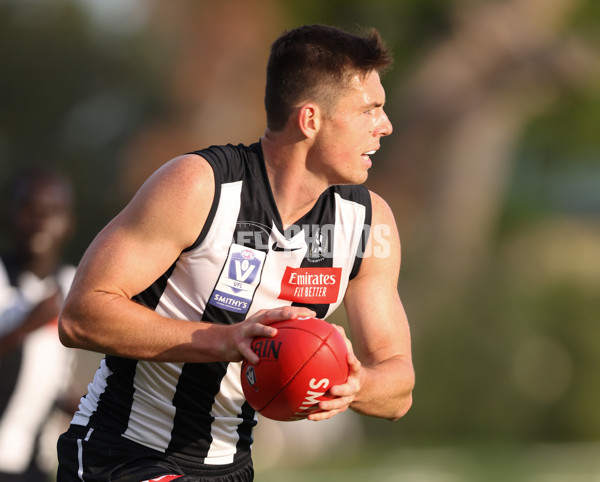 VFL 2024 Round 05  - Collingwood v Essendon - A-48236601