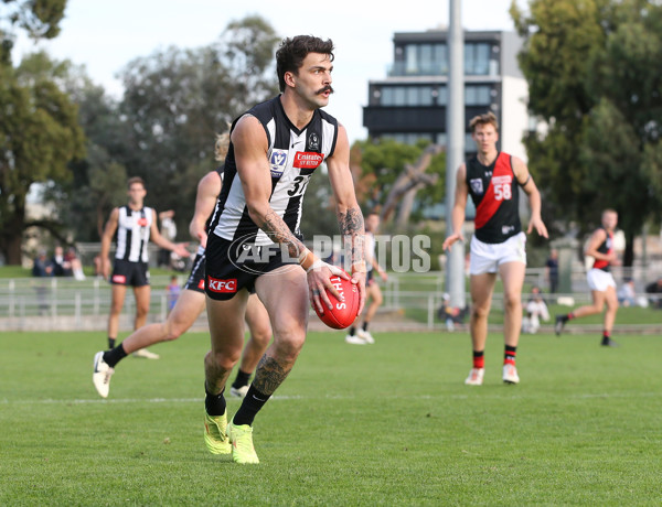 VFL 2024 Round 05  - Collingwood v Essendon - A-48236603