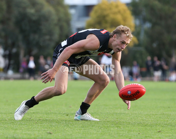 VFL 2024 Round 05  - Collingwood v Essendon - A-48236604