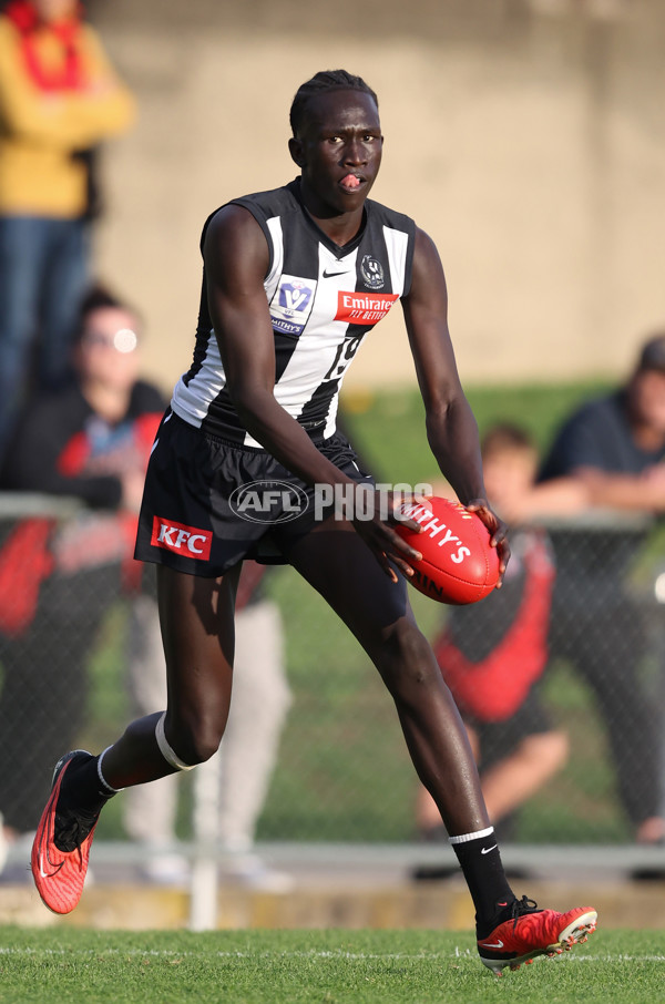 VFL 2024 Round 05  - Collingwood v Essendon - A-48236607