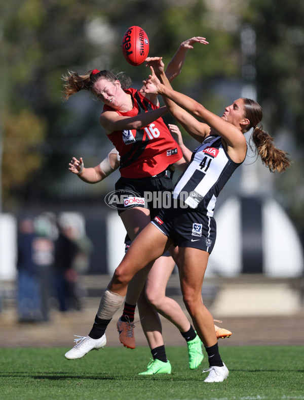 VFLW 2024 Round 06  - Collingwood v Essendon - A-48239028