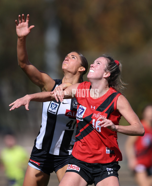 VFLW 2024 Round 06  - Collingwood v Essendon - A-48239029