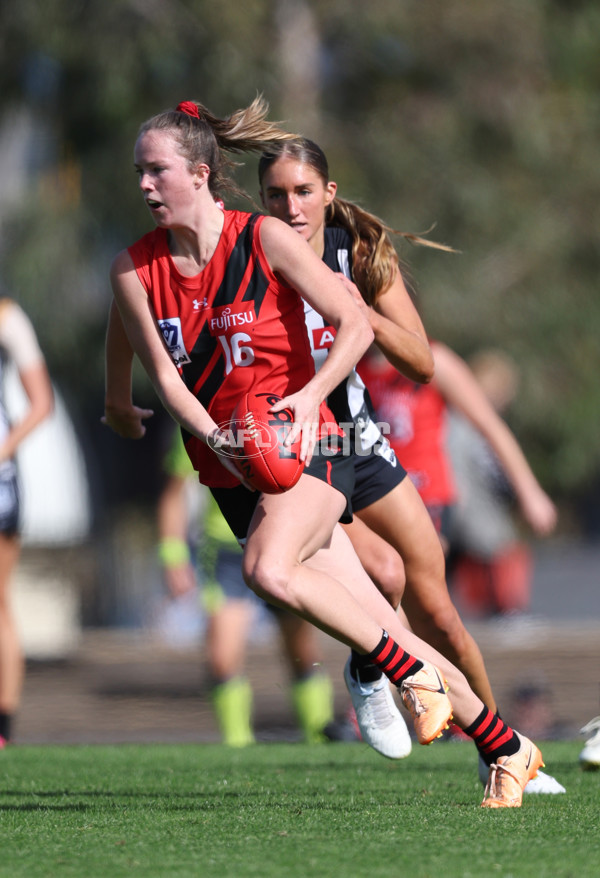 VFLW 2024 Round 06  - Collingwood v Essendon - A-48240846