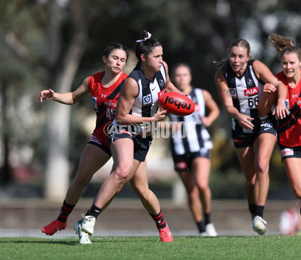 VFLW 2024 Round 06  - Collingwood v Essendon - A-48240926