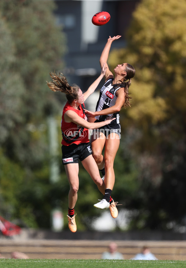 VFLW 2024 Round 06  - Collingwood v Essendon - A-48241497