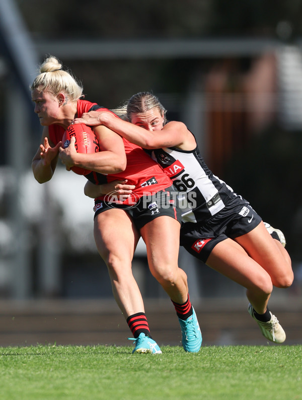 VFLW 2024 Round 06  - Collingwood v Essendon - A-48243194