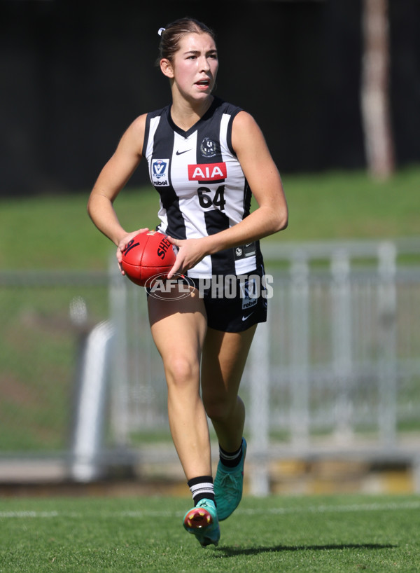 VFLW 2024 Round 06  - Collingwood v Essendon - A-48243196