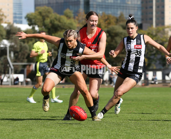 VFLW 2024 Round 06  - Collingwood v Essendon - A-48243205