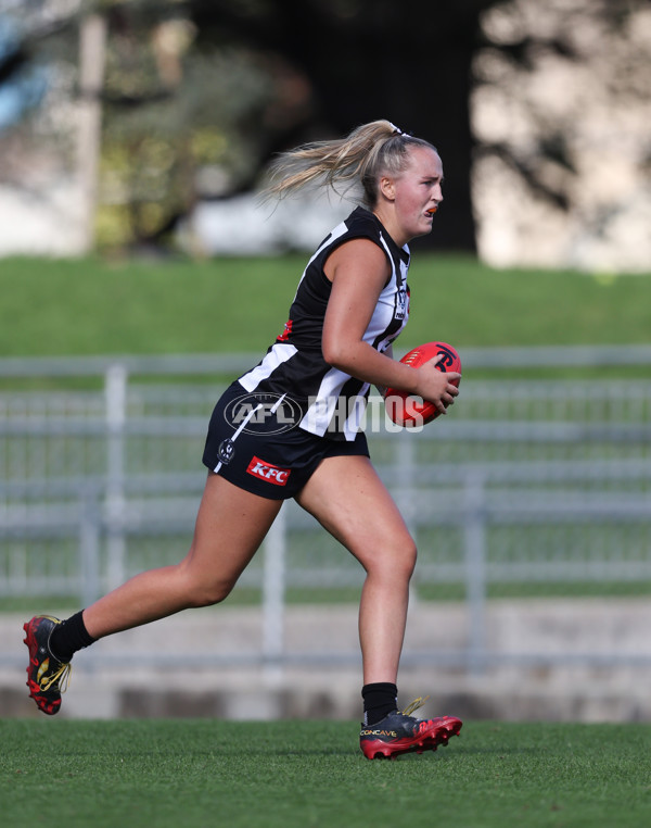 VFLW 2024 Round 06  - Collingwood v Essendon - A-48243208