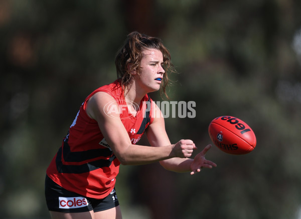 VFLW 2024 Round 06  - Collingwood v Essendon - A-48244069