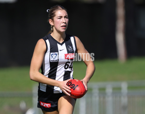 VFLW 2024 Round 06  - Collingwood v Essendon - A-48244082