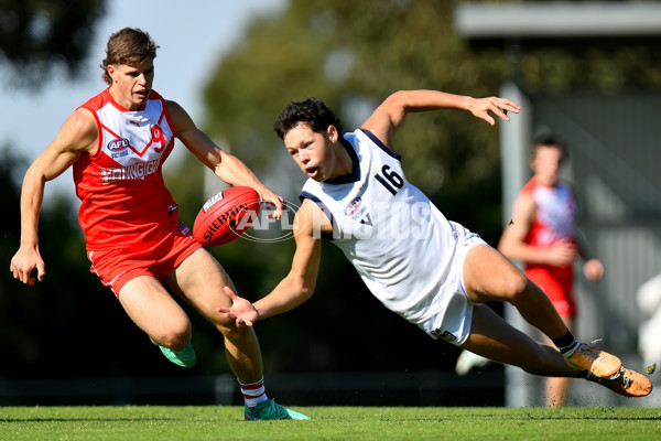 Young Guns Series 2024 - Young Guns v Victoria Country U18 Boys - A-48244156