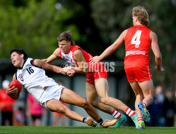 Young Guns Series 2024 - Young Guns v Victoria Country U18 Boys - A-48246205