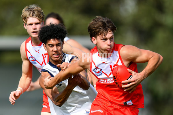 Young Guns Series 2024 - Young Guns v Victoria Country U18 Boys - A-48246206