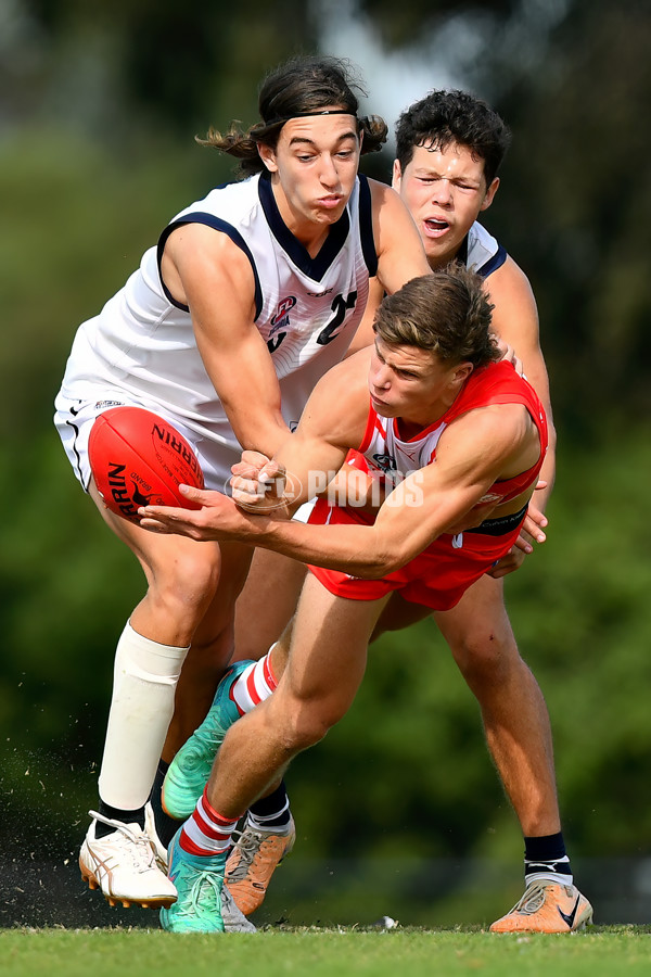 Young Guns Series 2024 - Young Guns v Victoria Country U18 Boys - A-48246541