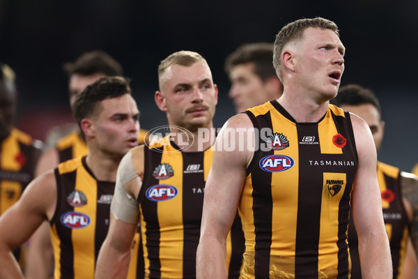 AFL 2024 Round 07 - Hawthorn v Sydney - A-48262786