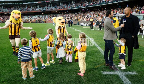 AFL 2024 Round 07 - Hawthorn v Sydney - A-48262826