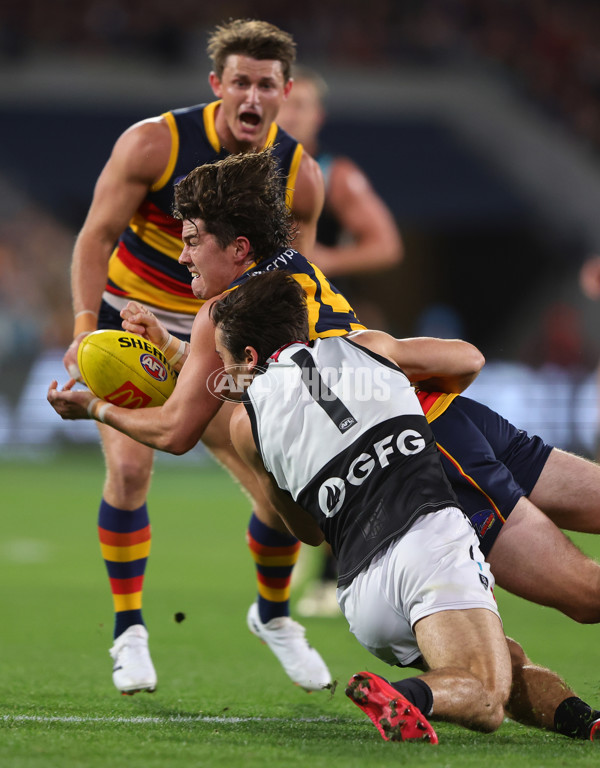 AFL 2024 Round 08 - Adelaide v Port Adelaide - A-48615026