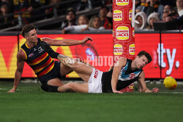 AFL 2024 Round 08 - Adelaide v Port Adelaide - A-48643710