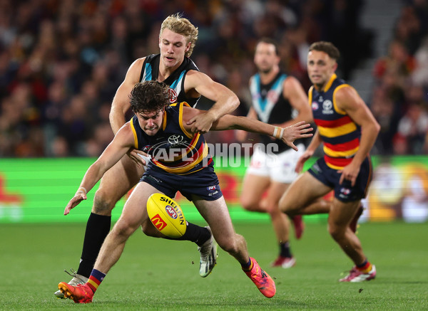 AFL 2024 Round 08 - Adelaide v Port Adelaide - A-48649582