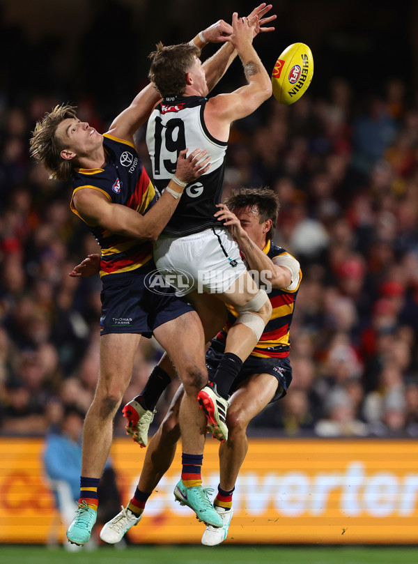 AFL 2024 Round 08 - Adelaide v Port Adelaide - A-48657397