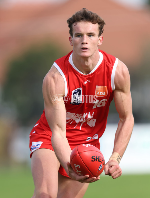 VFL 2024 Round 06 - Northern Bullants v Port Melbourne - A-48715528