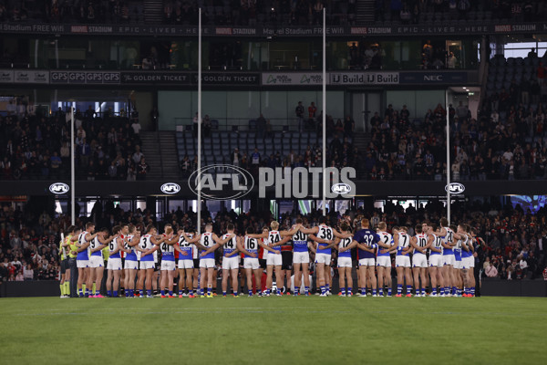AFL 2024 Round 08 - St Kilda v North Melbourne - A-48717738