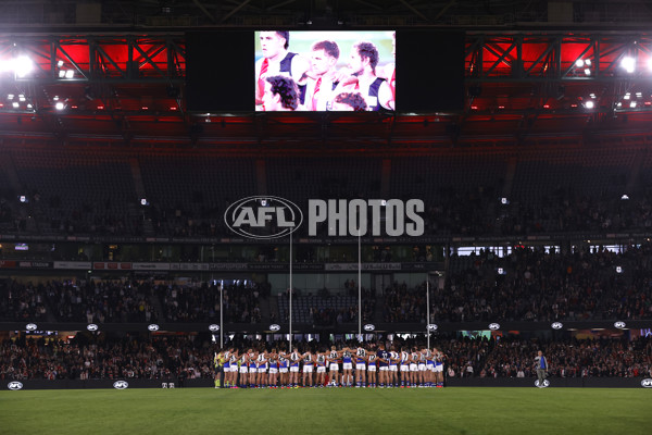 AFL 2024 Round 08 - St Kilda v North Melbourne - A-48718437