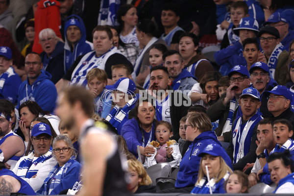 AFL 2024 Round 08 - St Kilda v North Melbourne - A-48723640
