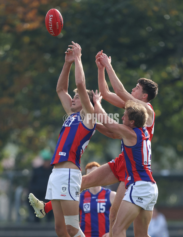 VFL 2024 Round 06 - Northern Bullants v Port Melbourne - A-48723700