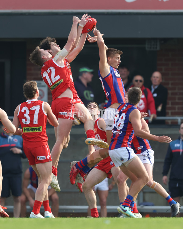 VFL 2024 Round 06 - Northern Bullants v Port Melbourne - A-48723704