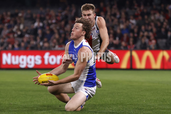 AFL 2024 Round 08 - St Kilda v North Melbourne - A-48724123
