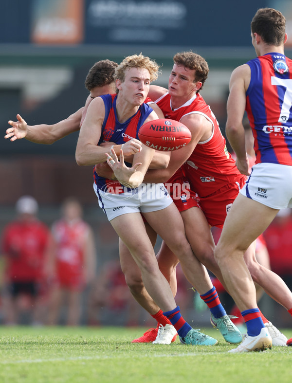 VFL 2024 Round 06 - Northern Bullants v Port Melbourne - A-48724185