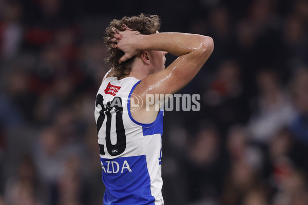 AFL 2024 Round 08 - St Kilda v North Melbourne - A-48726420