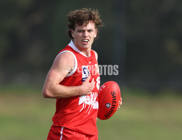 VFL 2024 Round 06 - Northern Bullants v Port Melbourne - A-48726429