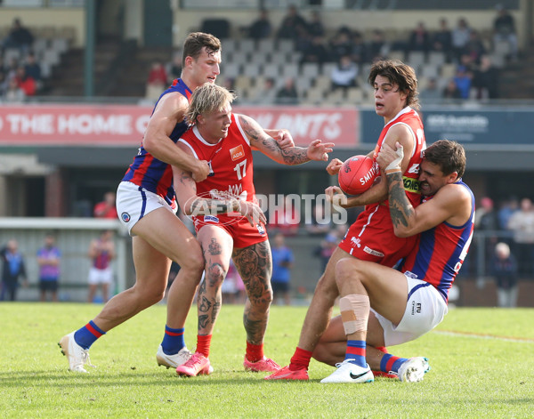 VFL 2024 Round 06 - Northern Bullants v Port Melbourne - A-48726431