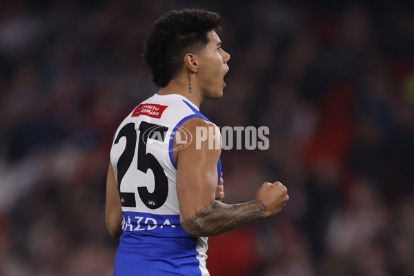 AFL 2024 Round 08 - St Kilda v North Melbourne - A-48728898
