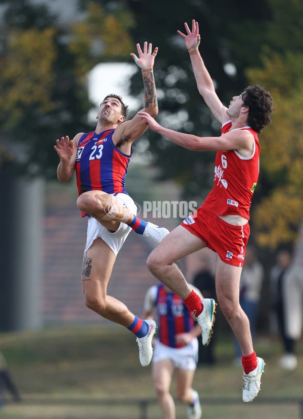 VFL 2024 Round 06 - Northern Bullants v Port Melbourne - A-48728907