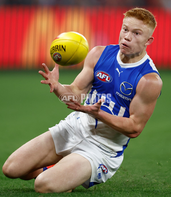 AFL 2024 Round 08 - St Kilda v North Melbourne - A-48728955