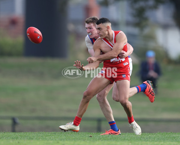 VFL 2024 Round 06 - Northern Bullants v Port Melbourne - A-48730173