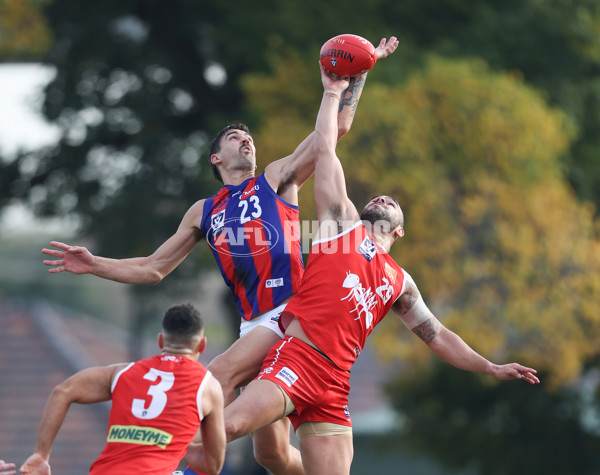 VFL 2024 Round 06 - Northern Bullants v Port Melbourne - A-48731089