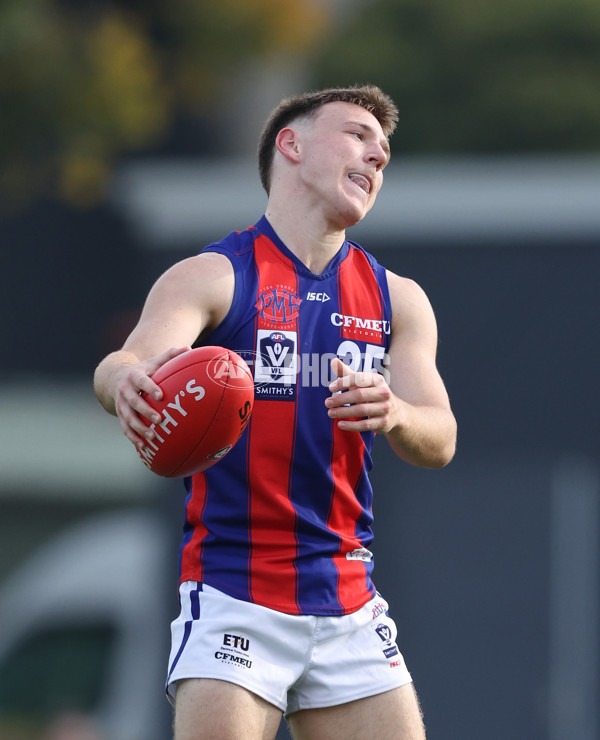 VFL 2024 Round 06 - Northern Bullants v Port Melbourne - A-48731164