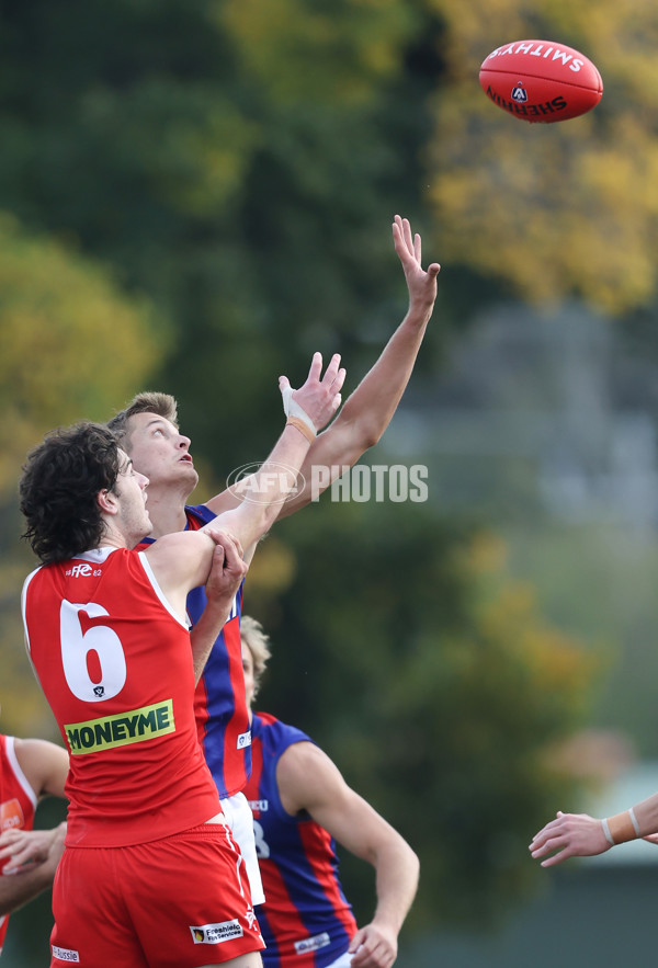 VFL 2024 Round 06 - Northern Bullants v Port Melbourne - A-48731167