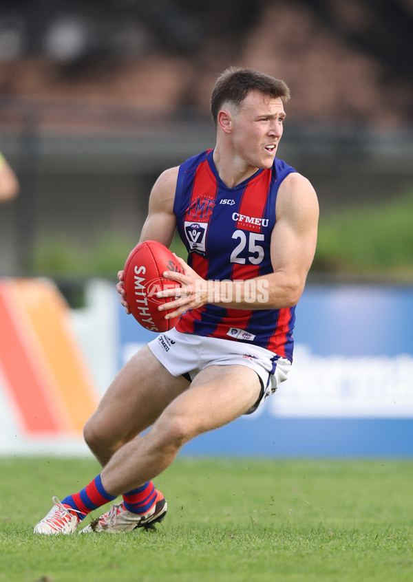 VFL 2024 Round 06 - Northern Bullants v Port Melbourne - A-48733643