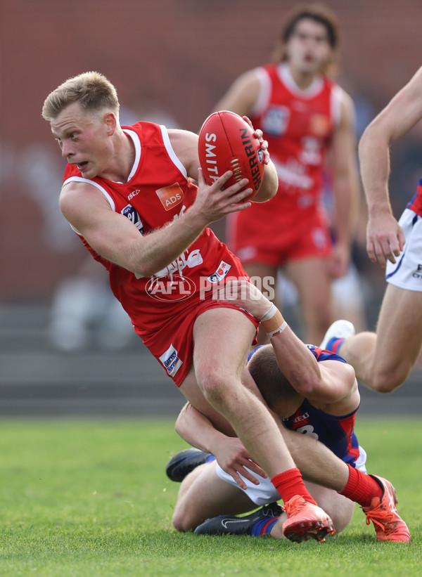 VFL 2024 Round 06 - Northern Bullants v Port Melbourne - A-48735748