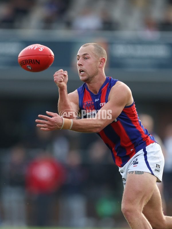 VFL 2024 Round 06 - Northern Bullants v Port Melbourne - A-48738087