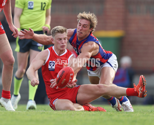 VFL 2024 Round 06 - Northern Bullants v Port Melbourne - A-48738088