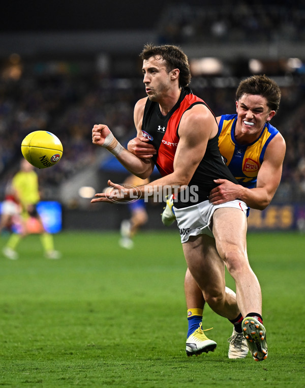 AFL 2024 Round 08 - West Coast v Essendon - A-48738154