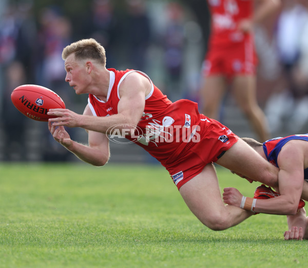 VFL 2024 Round 06 - Northern Bullants v Port Melbourne - A-48738475
